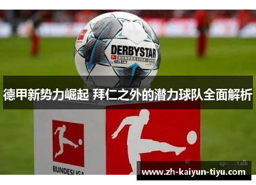 德甲新势力崛起 拜仁之外的潜力球队全面解析