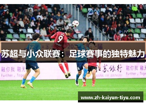 苏超与小众联赛：足球赛事的独特魅力